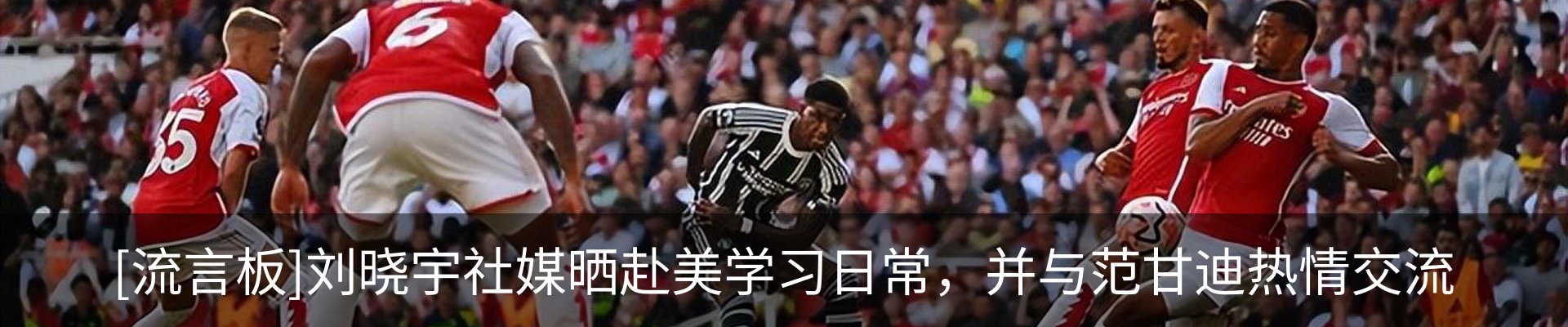 新闻动态